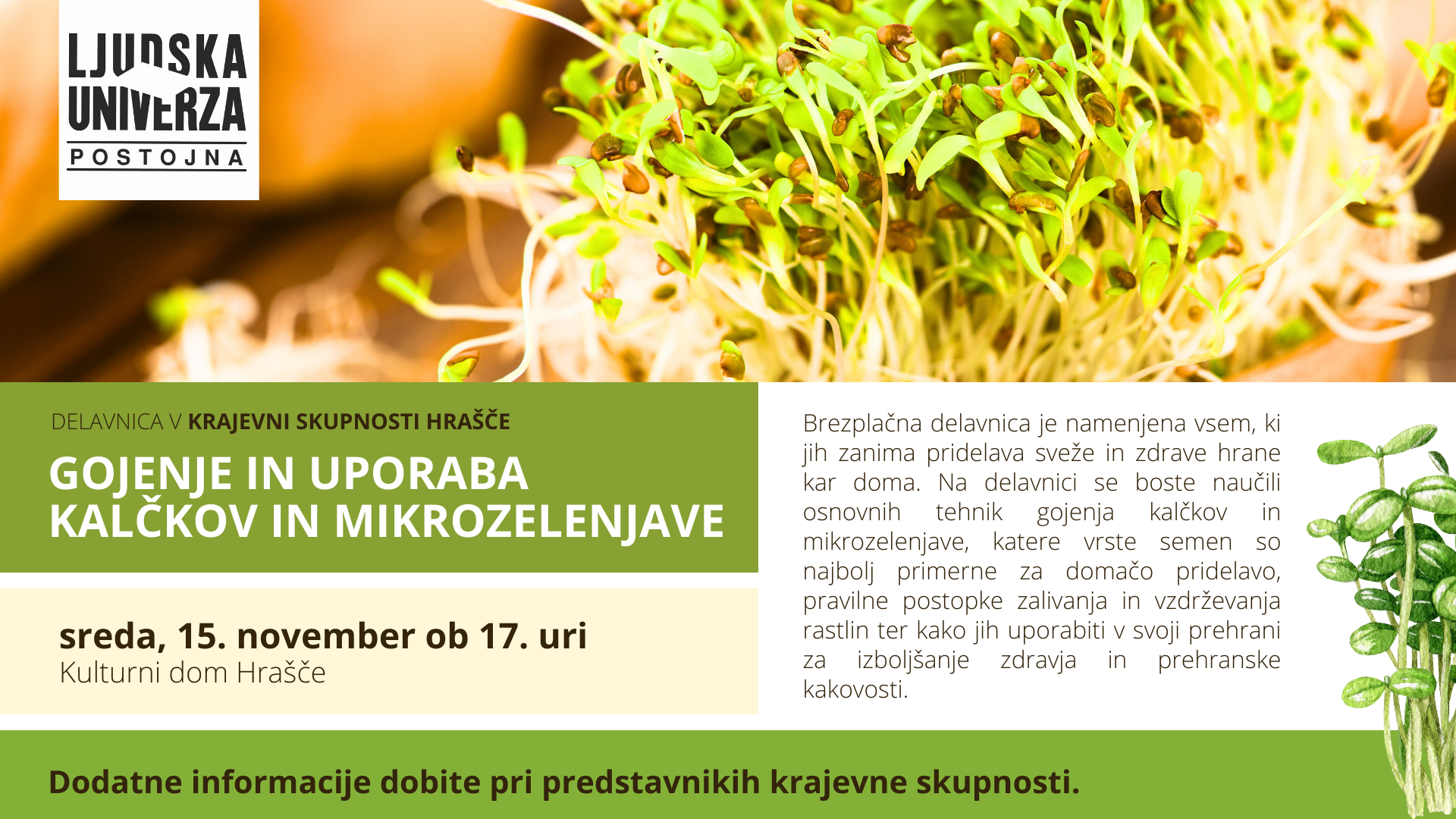 gojenje in uporaba kalčkov HRAŠČE_ november 2023 videostran